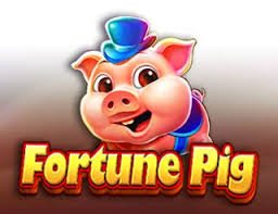 udin toto featured game showcase